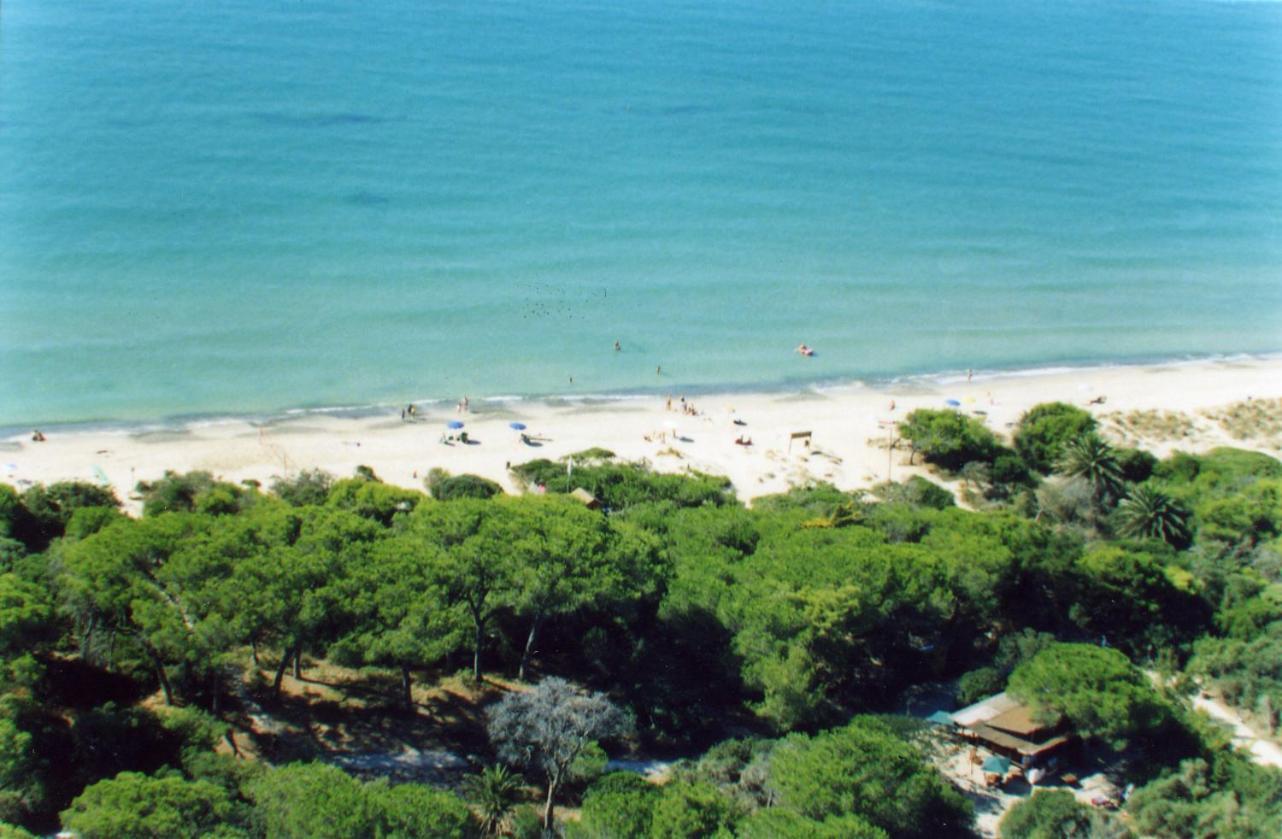 Villaggio Turistico Airone Риоторто Экстерьер фото